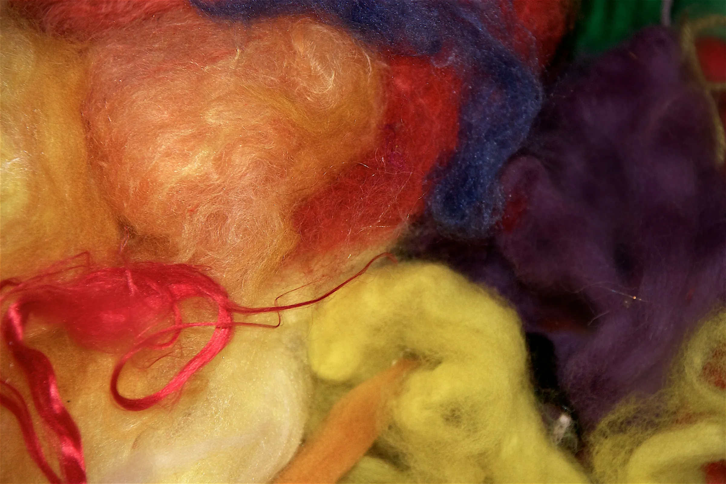 Soft dyed wool fibre in yellow, peach, red and purple
