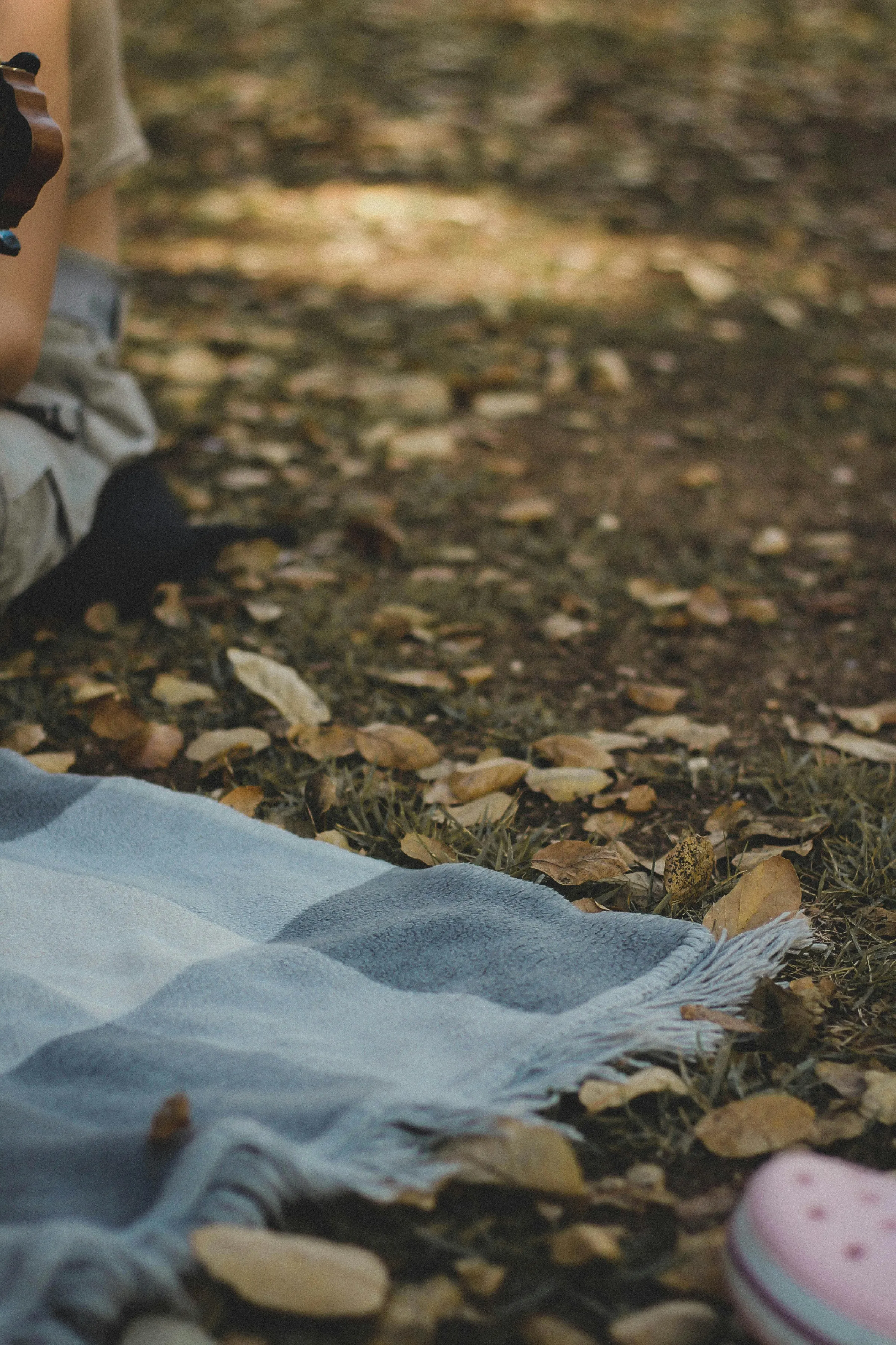 A handwoven blanket on autumn leaves