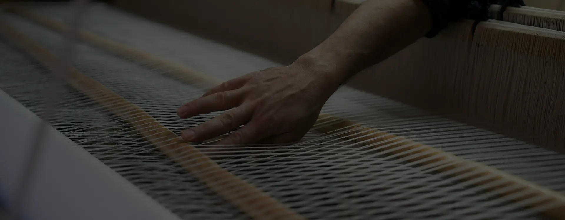 A weaver’s hand resting on the warp threads of a handloom
