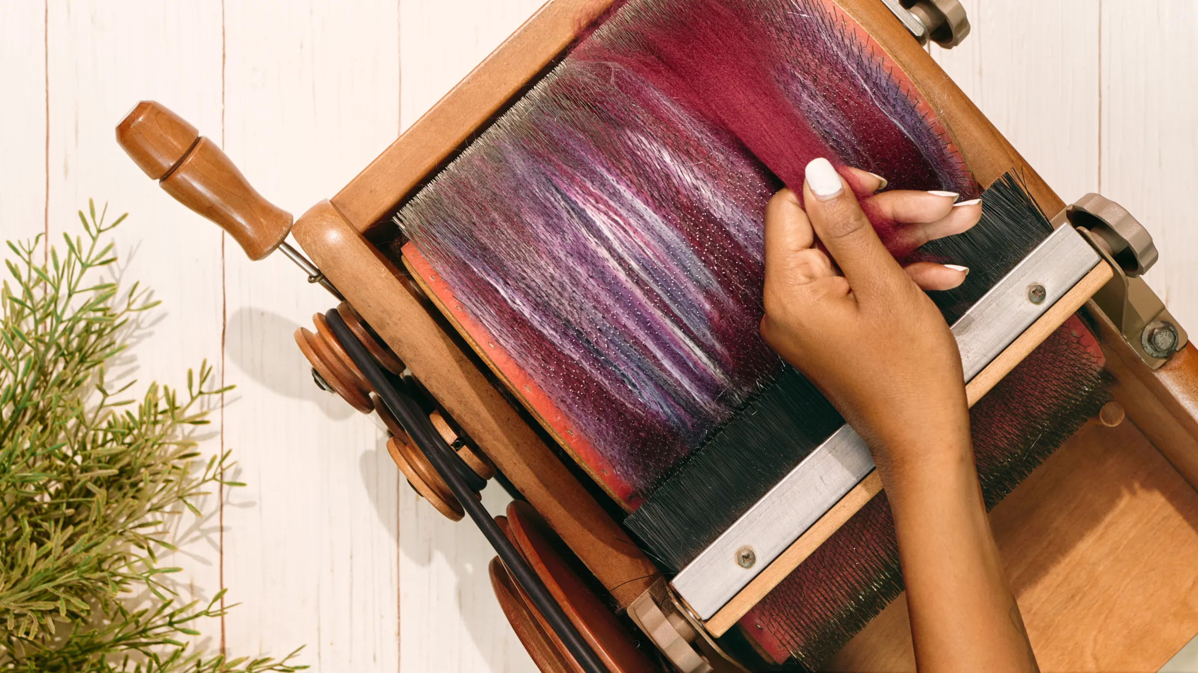 Hands carding purple and red fibre on a drum carder